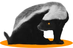 Oso